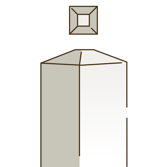 Illutration-categories-cedar-first_barrontin-pointé